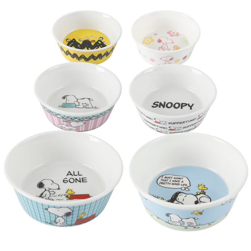 Peanuts Peanuts Classic Snoopy 5" Pet Bowl - 6 Assorted Designs - Decorated - Stoneware - Open Stock