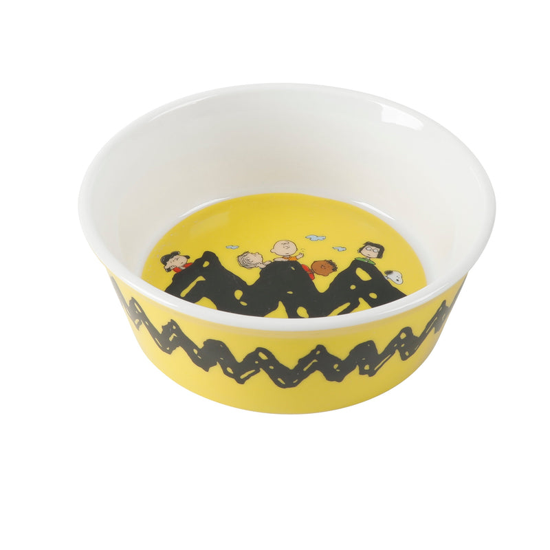 Peanuts Peanuts Classic Snoopy 5" Pet Bowl - 6 Assorted Designs - Decorated - Stoneware - Open Stock