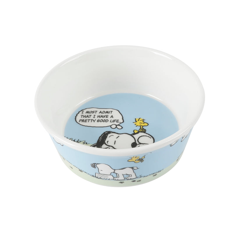 Peanuts Peanuts Classic Snoopy 5" Pet Bowl - 6 Assorted Designs - Decorated - Stoneware - Open Stock