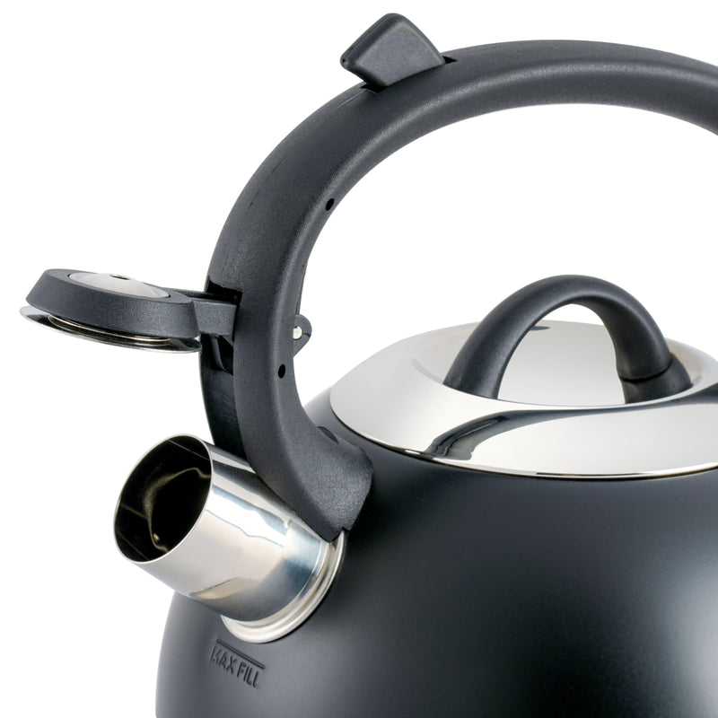 Mr. Coffee Flintshire 1.75qt Stainless Steel Tea Kettle - Nylon Handle - Gift Box