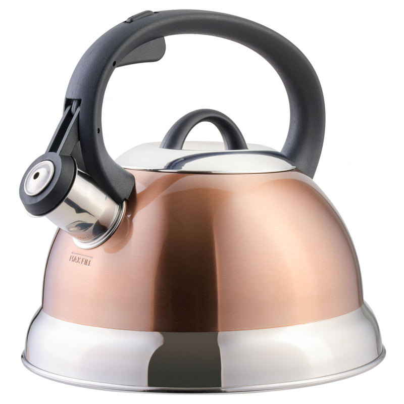 Mr. Coffee Flintshire 1.75qt Stainless Steel Tea Kettle - Nylon Handle - Gift Box