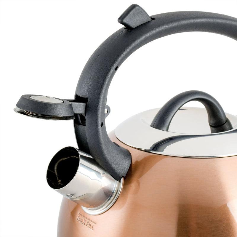 Mr. Coffee Flintshire 1.75qt Stainless Steel Tea Kettle - Nylon Handle - Gift Box
