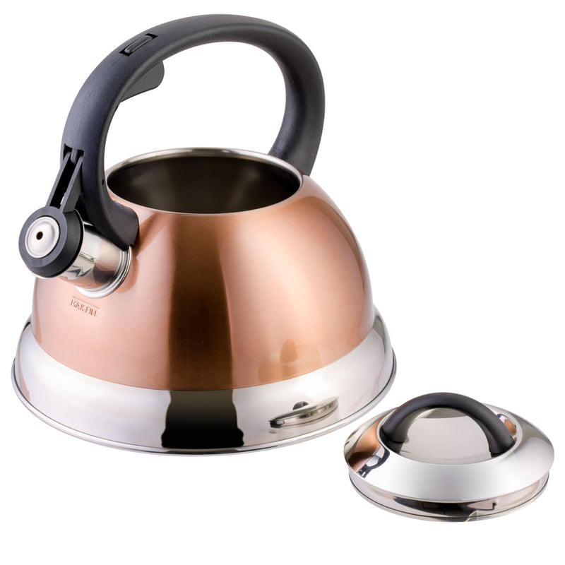 Mr. Coffee Flintshire 1.75qt Stainless Steel Tea Kettle - Nylon Handle - Gift Box