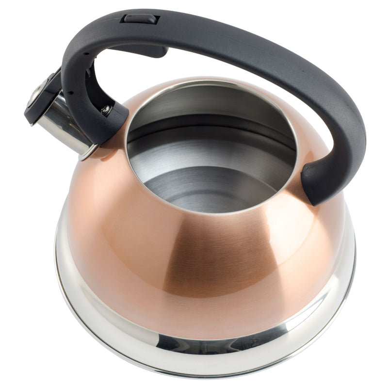 Mr. Coffee Flintshire 1.75qt Stainless Steel Tea Kettle - Nylon Handle - Gift Box