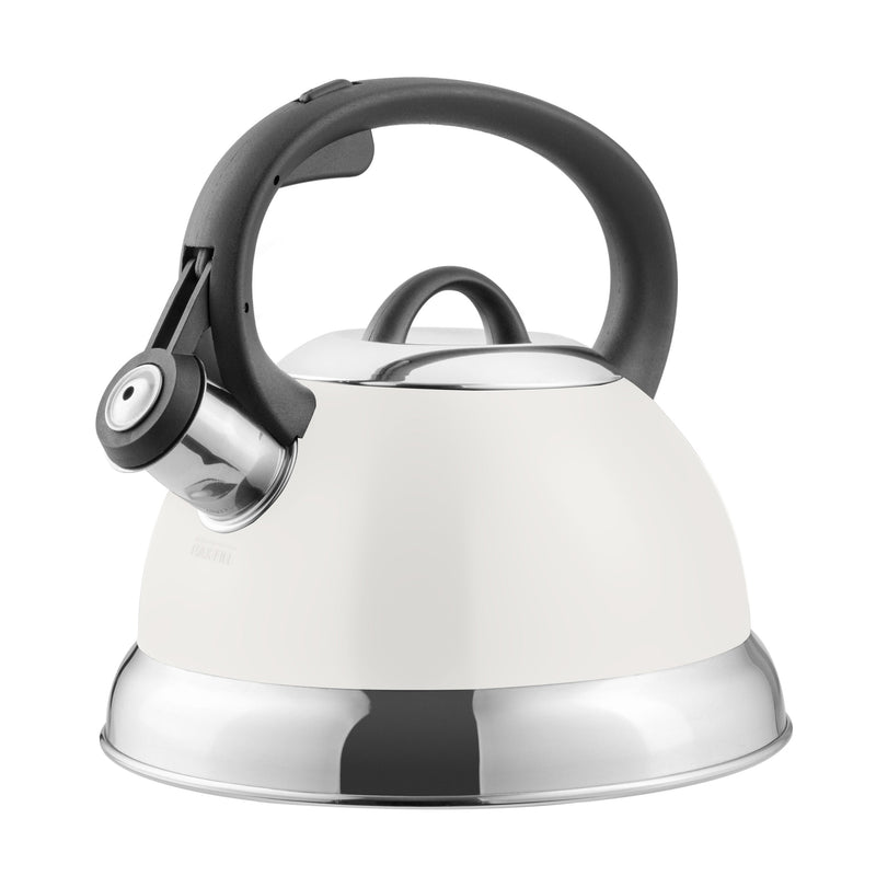 Mr. Coffee Flintshire 1.75qt Stainless Steel Tea Kettle - Nylon Handle - Gift Box
