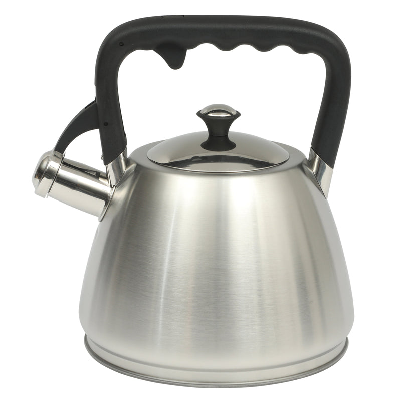Mr. Coffee Armidale 2.5qt Stainless Steel Tea Kettle - Brushed - Nylon Knob & Handle - Gift Box w/ Hang Tag