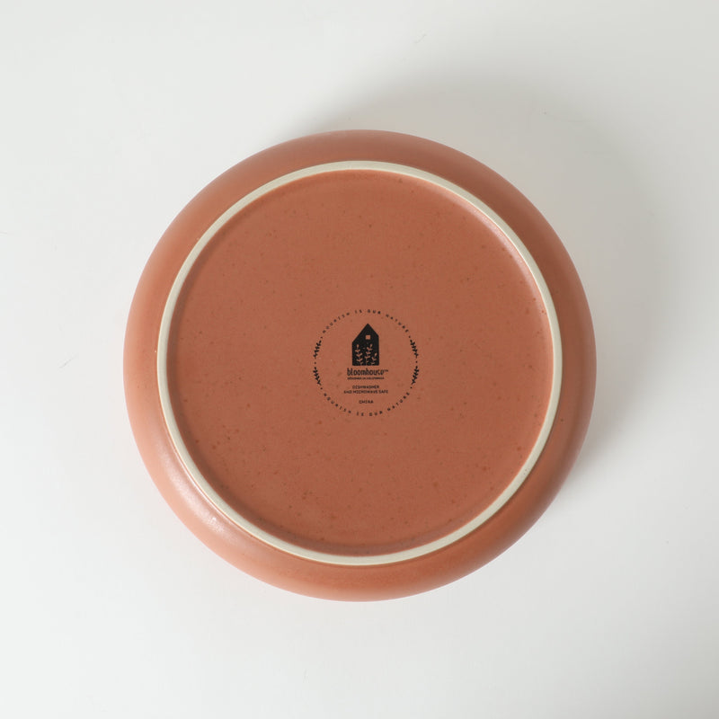 Bloomhouse Corsica Clay 4pc 9" Dinner Bowl Set - Reactive Glaze - Stoneware - Gift Box w/ Remailer: Burnt Apricot&nbsp; / Prosecco Blush / Sea Salt