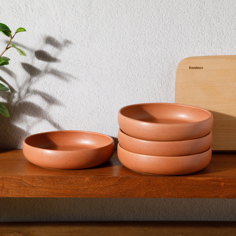 Bloomhouse Corsica Clay 4pc 9" Dinner Bowl Set - Reactive Glaze - Stoneware - Gift Box w/ Remailer: Burnt Apricot&nbsp; / Prosecco Blush / Sea Salt