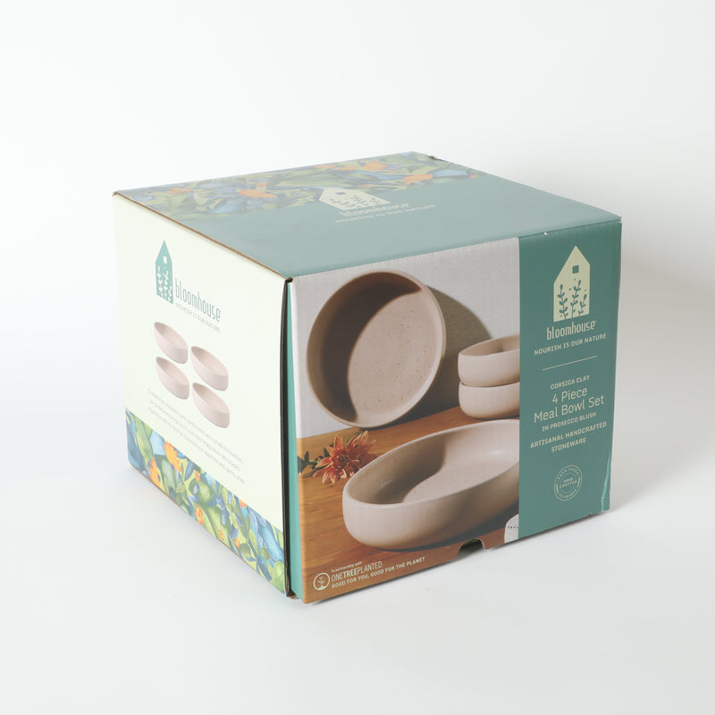 Bloomhouse Corsica Clay 4pc 9" Dinner Bowl Set - Reactive Glaze - Stoneware - Gift Box w/ Remailer: Burnt Apricot&nbsp; / Prosecco Blush / Sea Salt