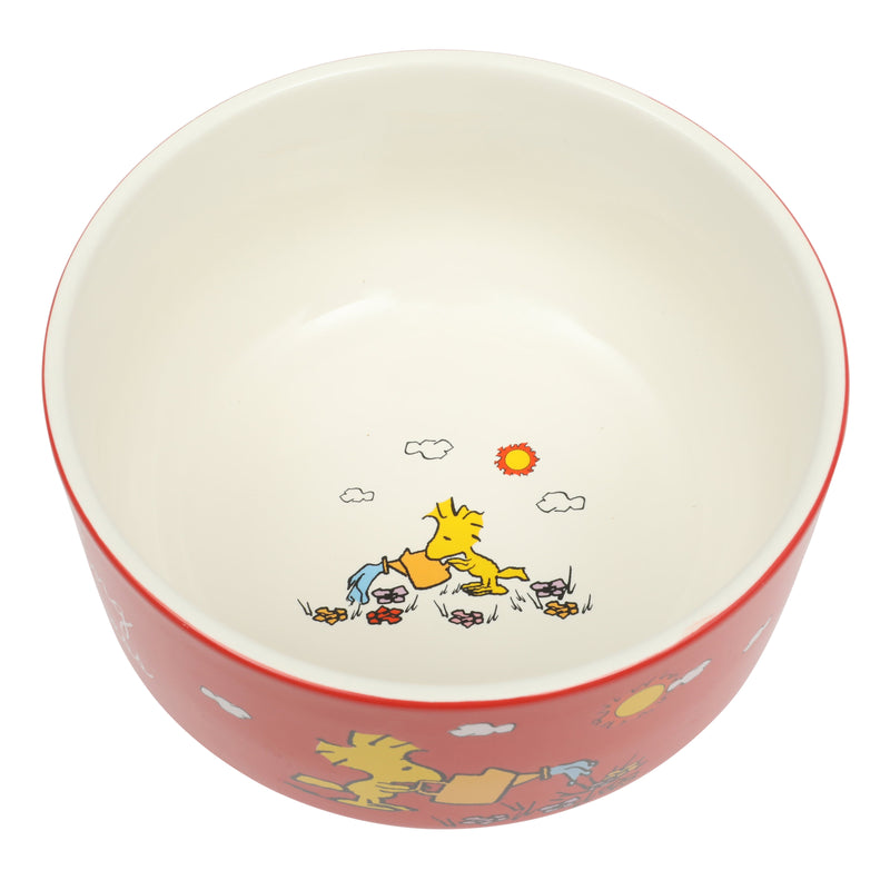 Peanuts Snoopy's Garden Patch 6pc 5.5" Stackable Bowl Set - Asst Designs - Round - Decorated - Stoneware - Gift Box w/ RM