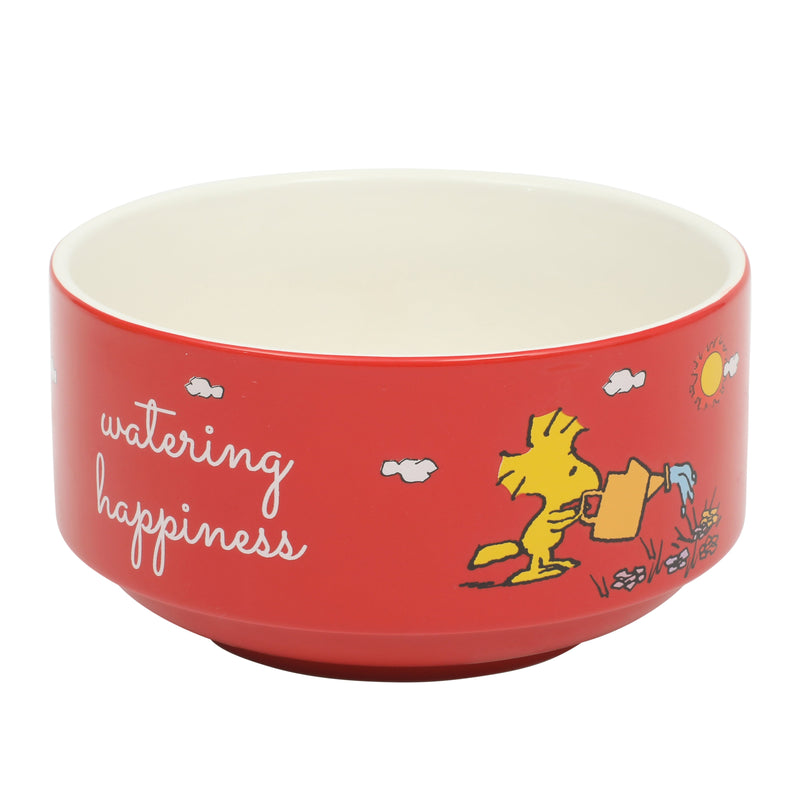Peanuts Snoopy's Garden Patch 6pc 5.5" Stackable Bowl Set - Asst Designs - Round - Decorated - Stoneware - Gift Box w/ RM