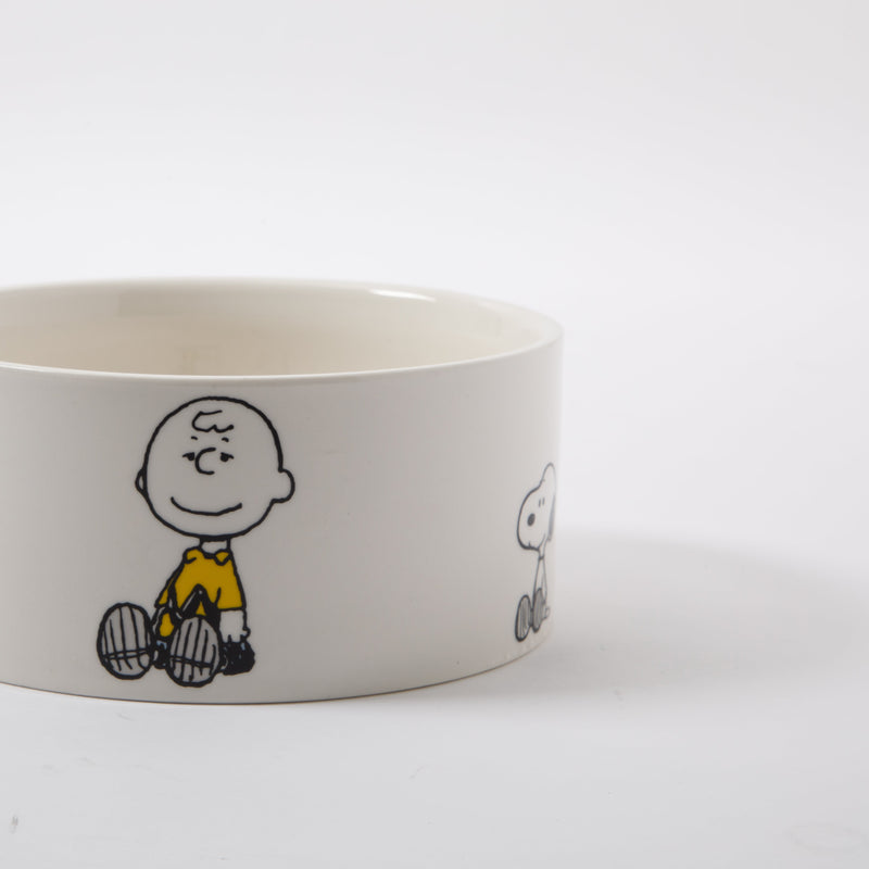 Peanuts Snack Time 6" Pet Bowl - Snoopy and Woodstock - Decorated - Stoneware - Open Stock w/ UPC Label
