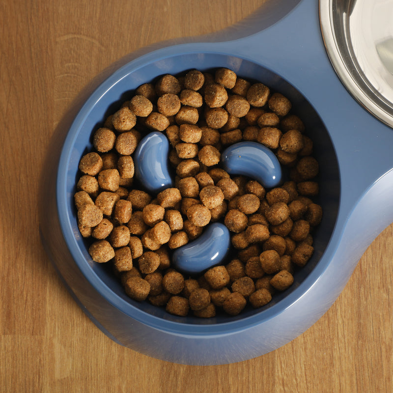 Gibson home Curious Canines 12.75" Melamine Slow Feeder w/ 6.75"Stainless Steel Pet Bowl Insert - Open Stock w/ Color Label