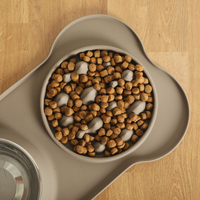 Gibson Home Curious Canines 2 pc 16" Stainless Steel Bowl & Silicone Slow Feeder On Silicone Mat - Open Stock w/ Color Sleeve