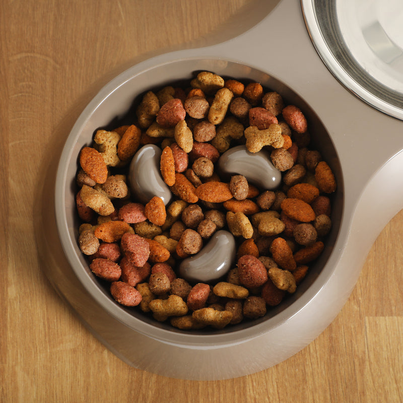Gibson home Curious Canines 12.75" Melamine Slow Feeder w/ 6.75"Stainless Steel Pet Bowl Insert - Open Stock w/ Color Label