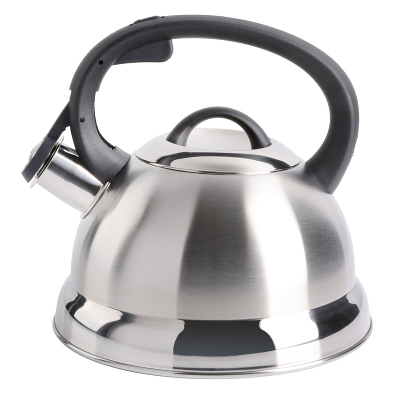 Mr. Coffee Flintshire 1.75qt Stainless Steel Tea Kettle - Nylon Handle - Gift Box