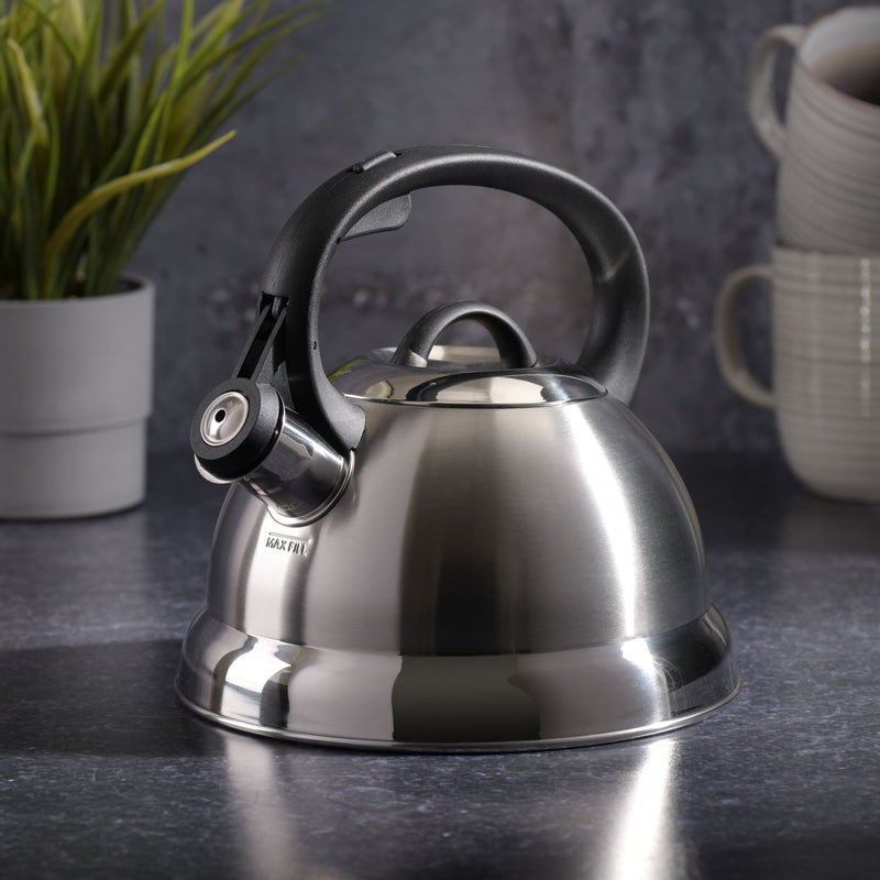 Mr. Coffee Flintshire 1.75qt Stainless Steel Tea Kettle - Nylon Handle - Gift Box