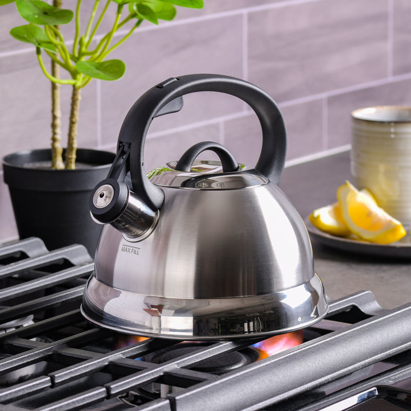 Mr. Coffee Flintshire 1.75qt Stainless Steel Tea Kettle - Nylon Handle - Gift Box