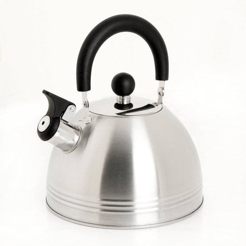 Mr. Coffee Carterton 1.5qt Stainless Steel Tea Kettle - Mirror Polished - Nylon Handle - Gift Box