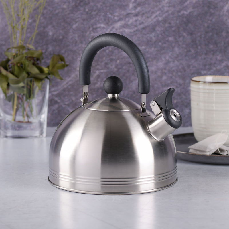 Mr. Coffee Carterton 1.5qt Stainless Steel Tea Kettle - Mirror Polished - Nylon Handle - Gift Box