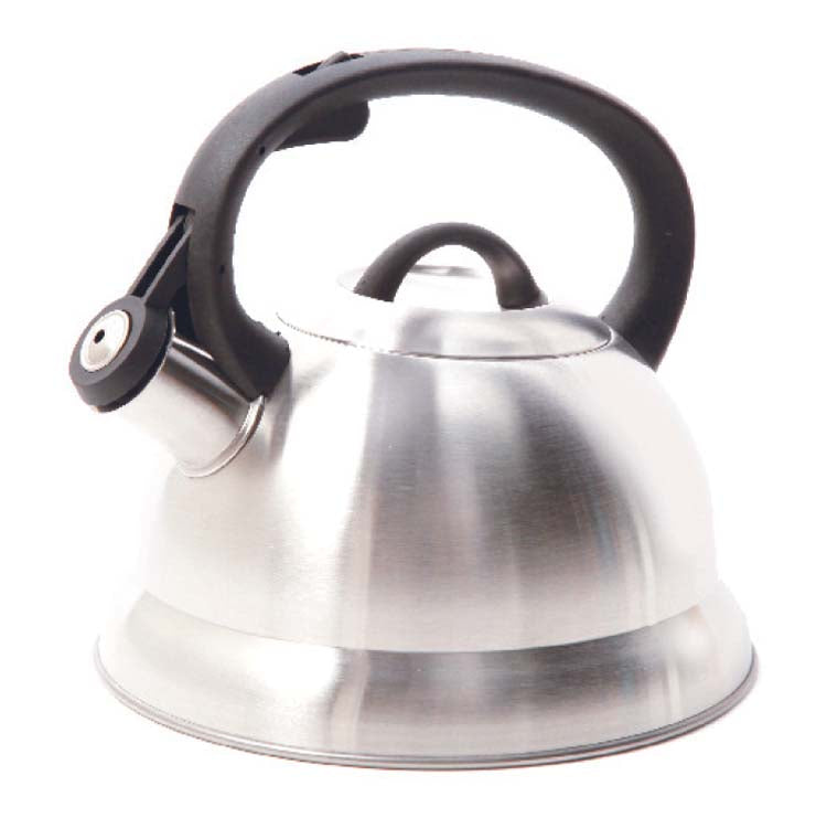 Mr. Coffee Flintshire 1.75qt Stainless Steel Tea Kettle - Nylon Handle - Gift Box
