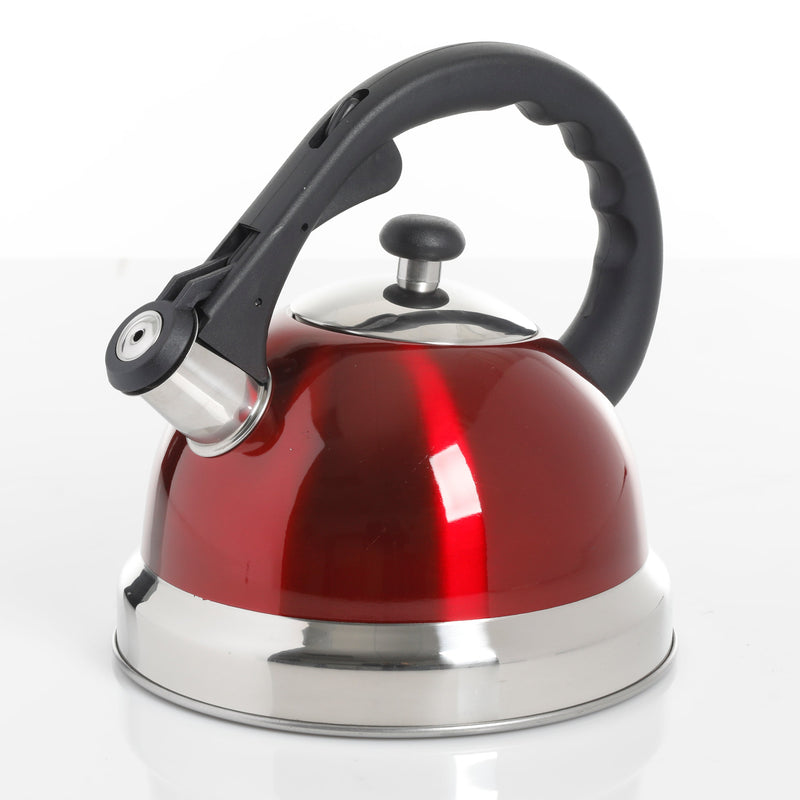 Mr. Coffee Claredale 1.9qt Stainless Steel Tea Kettle - Nylon Handle - Gift Box