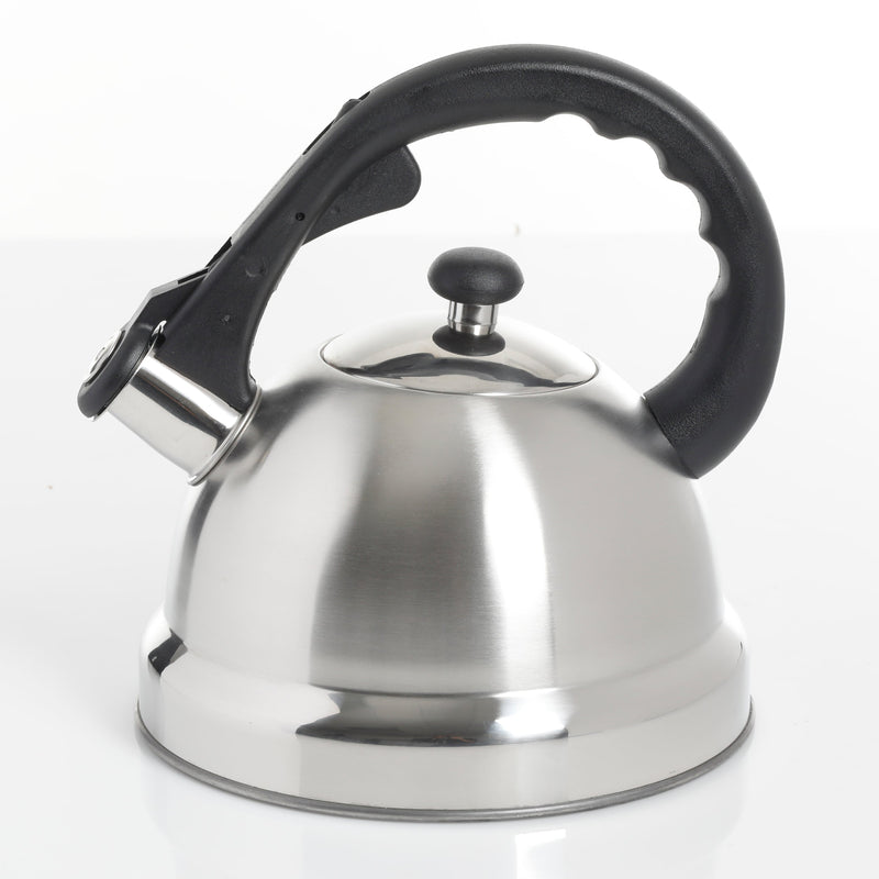 Mr. Coffee Claredale 1.9qt Stainless Steel Tea Kettle - Nylon Handle - Gift Box